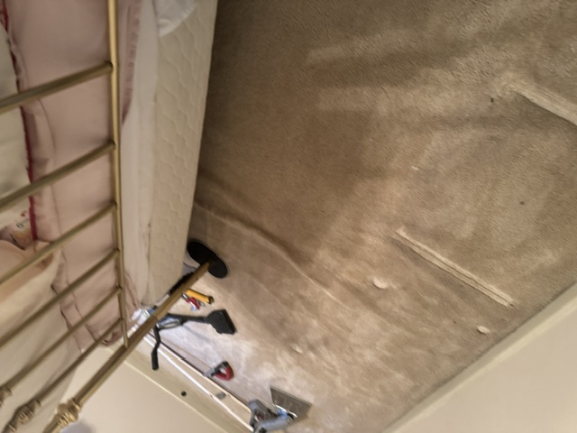 YesSir Services carpet stretching and repair project photo
