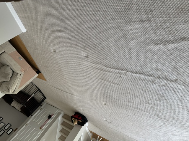 YesSir Services carpet stretching and repair project photo