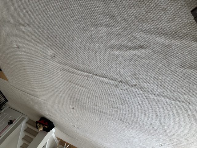 YesSir Services carpet stretching and repair project photo