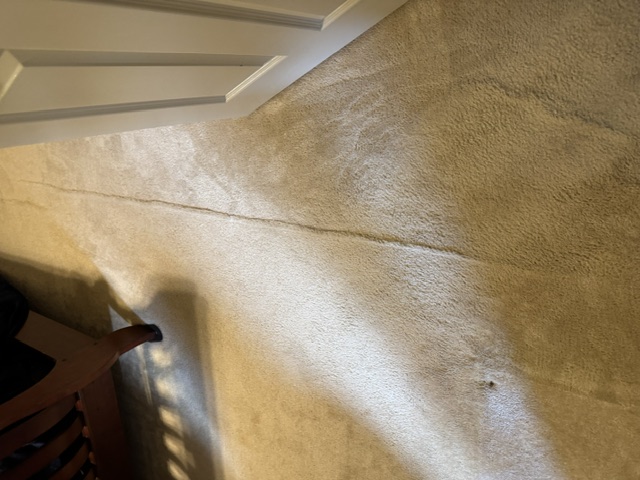 YesSir Services carpet stretching and repair project photo