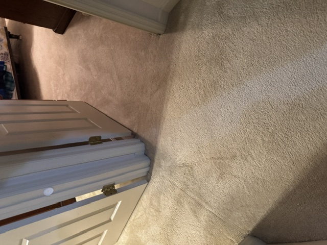 YesSir Services carpet stretching and repair project photo