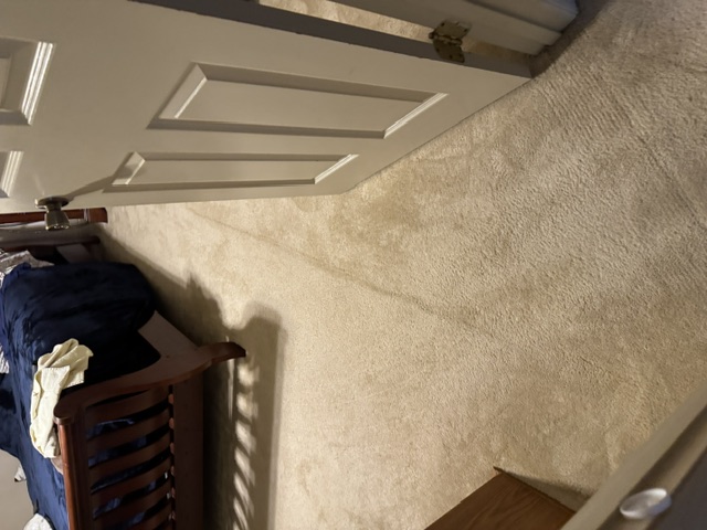 YesSir Services carpet stretching and repair project photo