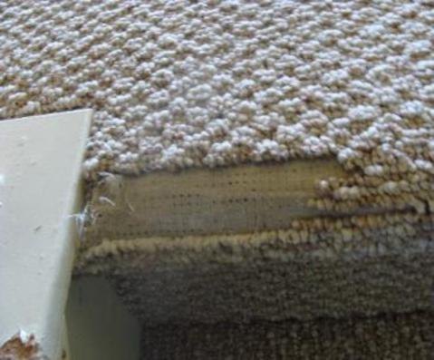 Before Berber repair