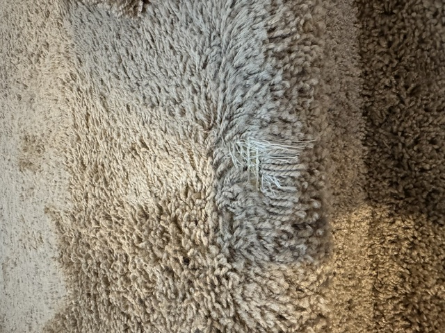 YesSir Services before repair - frayed carpet seam fibers and damaged edge