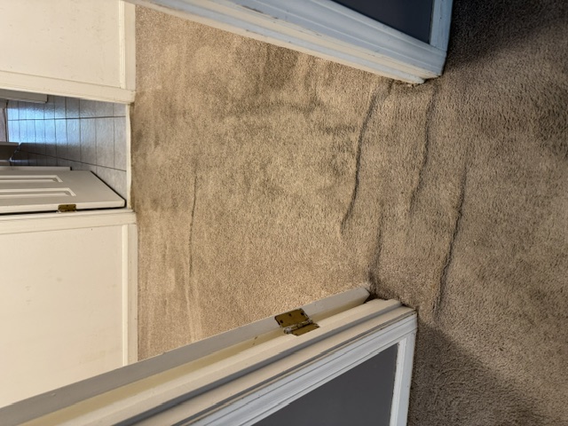YesSir Services carpet stretching — visible wrinkle area