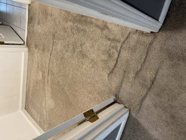 YesSir Services carpet stretching — wrinkle area detail