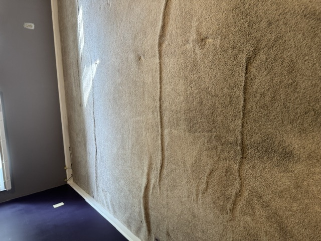 YesSir Services carpet stretching — loose carpet / ripple area