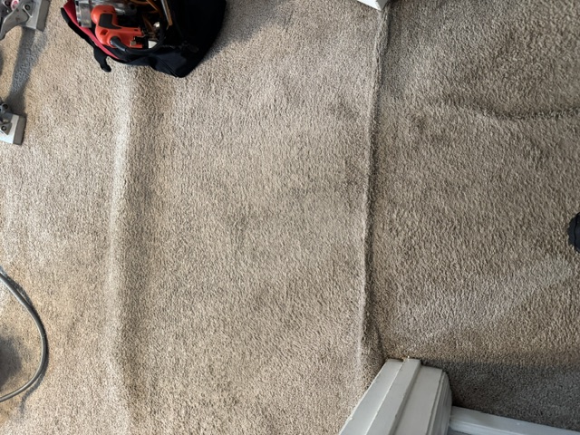 YesSir Services carpet stretching — project area