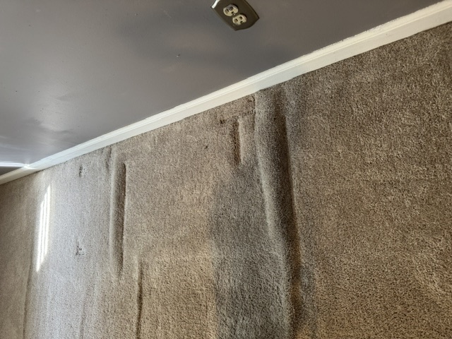 YesSir Services carpet stretching — ripple detail