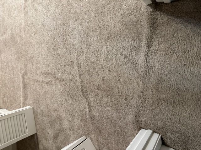 YesSir Services carpet stretching — carpet surface detail