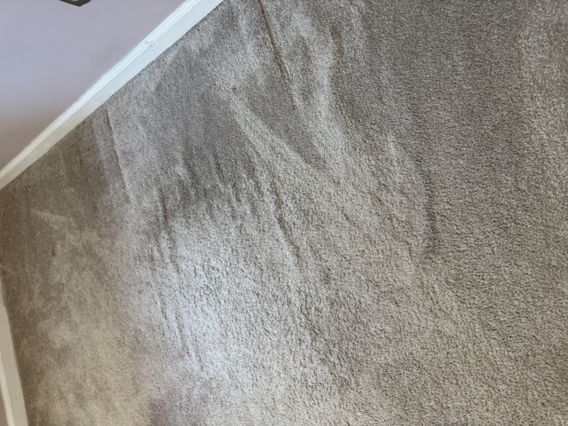 YesSir Services carpet stretching — finished service area