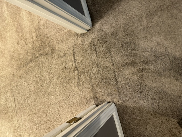 YesSir Services carpet cleaning — project area