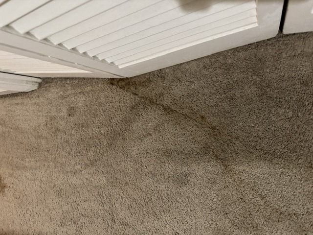 YesSir Services carpet cleaning — carpet surface detail