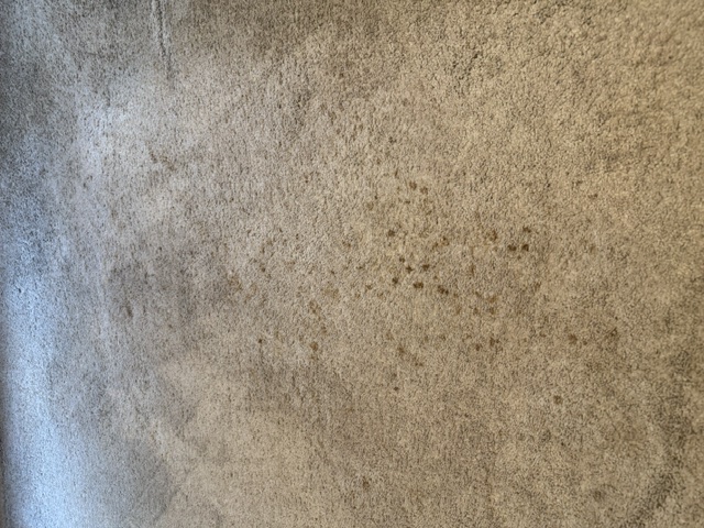 YesSir Services carpet cleaning — close project view