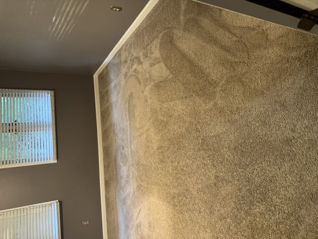 YesSir Services carpet cleaning — groomed room view
