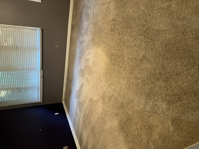 YesSir Services carpet cleaning — groomed carpet area