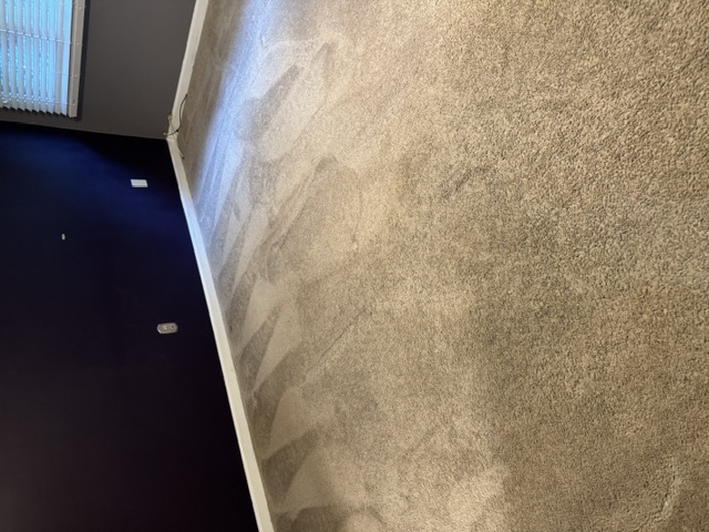 YesSir Services carpet cleaning — cleaned room view