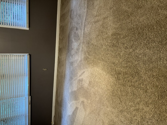 YesSir Services carpet cleaning — groomed carpet result