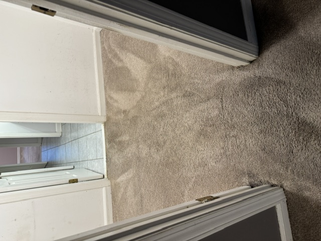 YesSir Services carpet cleaning — cleaned hallway / room area