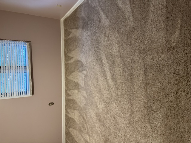YesSir Services carpet cleaning — finished room view