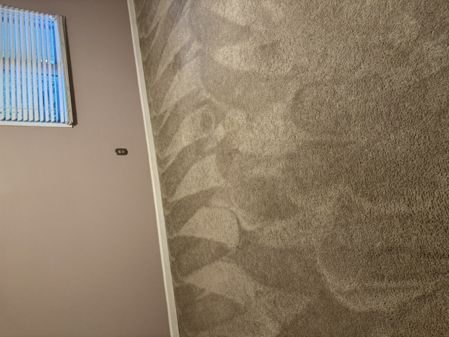 YesSir Services carpet cleaning — finished grooming result