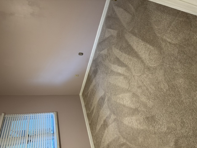 YesSir Services carpet cleaning — finished carpet result