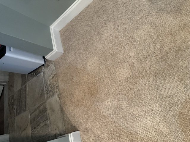 YesSir Services Carpet Stretching & Repair Project Photo 14