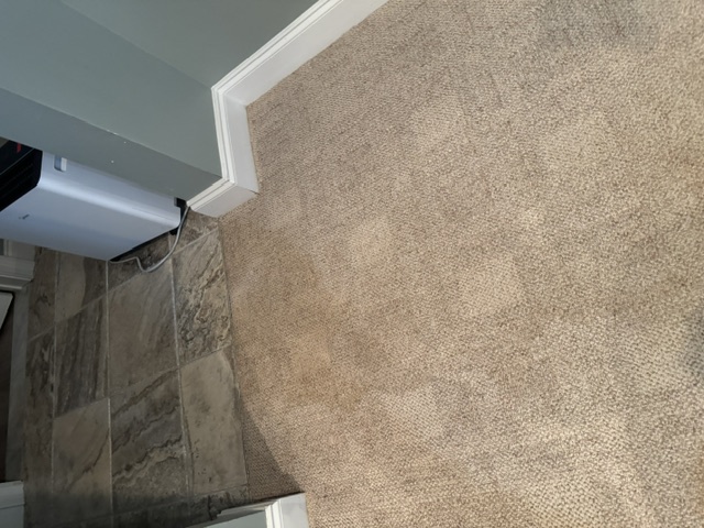 YesSir Services Carpet Stretching & Repair Project Photo 15