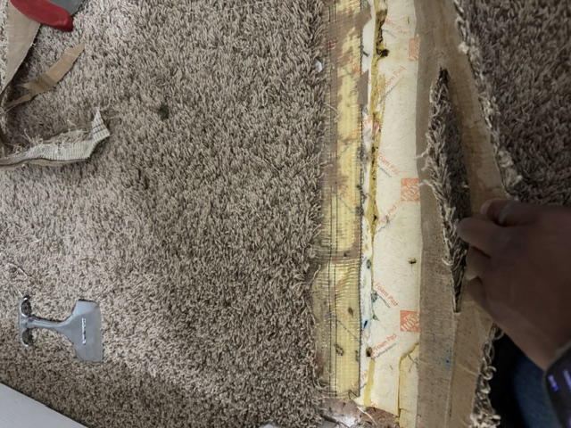 YesSir Services Carpet Stretching & Repair Project Photo 20