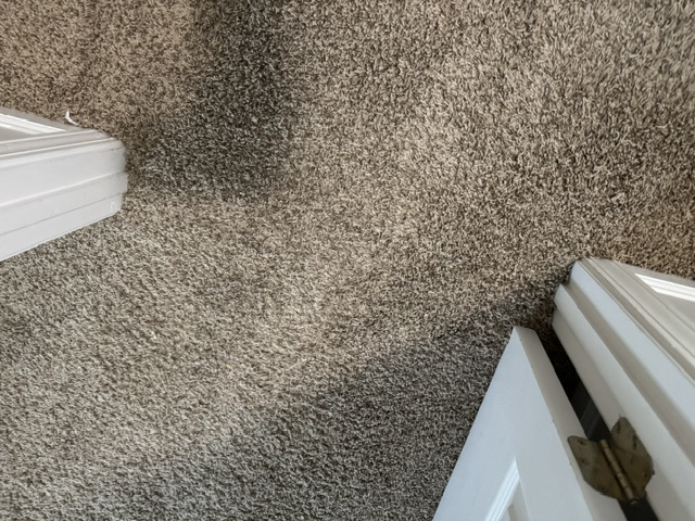 YesSir Services Carpet Stretching & Repair Project Photo 31