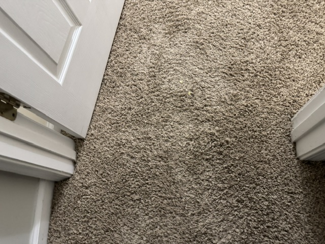 YesSir Services Carpet Stretching & Repair Project Photo 32