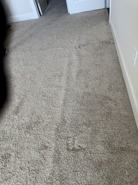 YesSir Services carpet stretching and repair project photo 2