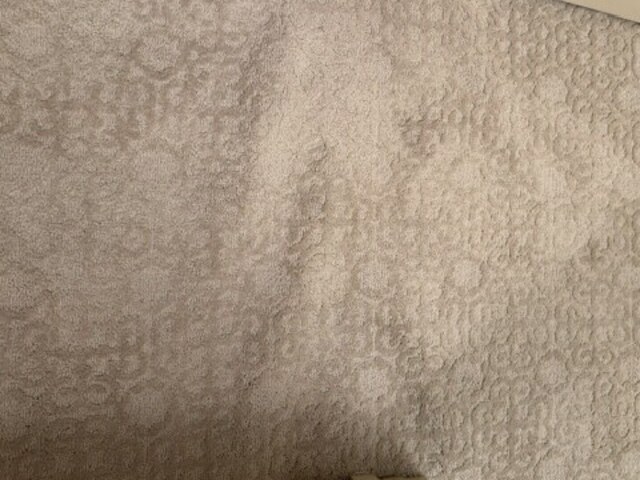 YesSir Services carpet stretching and cleaning customer project photo 08