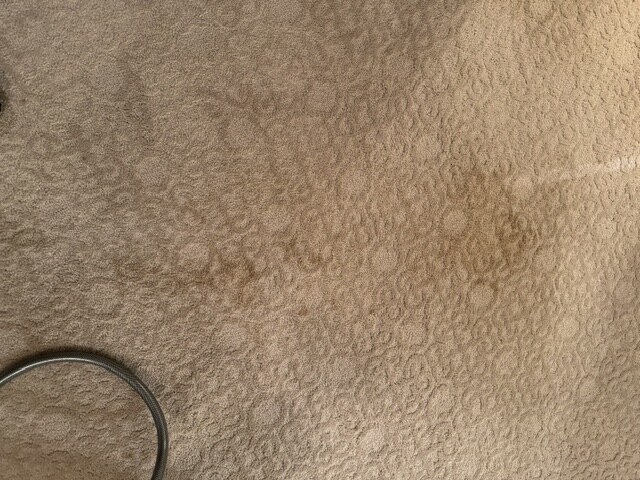YesSir Services carpet stretching and cleaning customer project photo 09