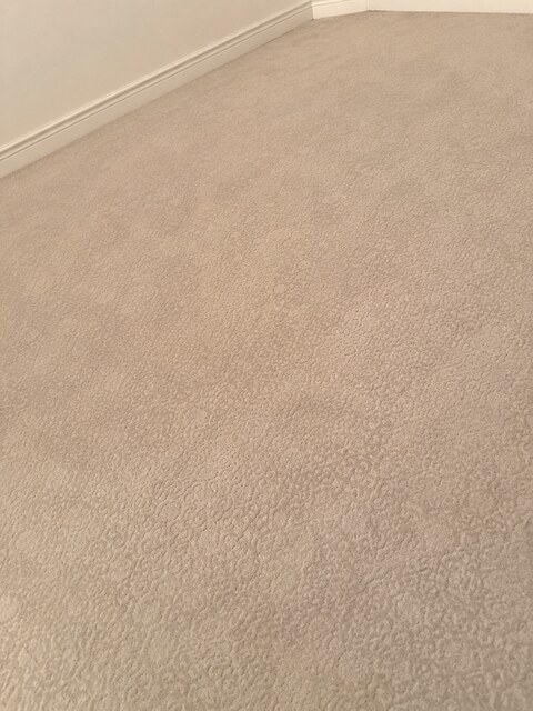 YesSir Services carpet stretching and cleaning customer project photo 13