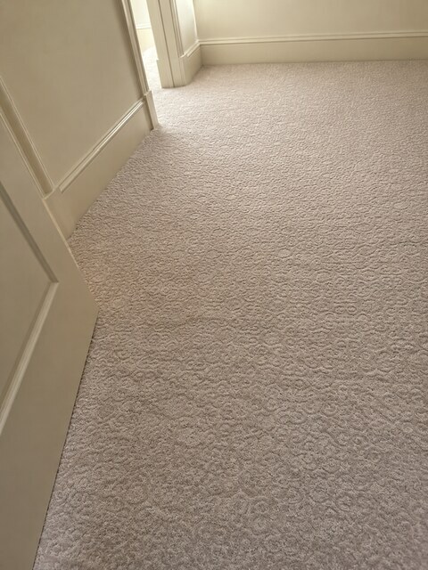 YesSir Services carpet stretching and cleaning customer project photo 15