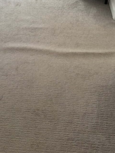 YesSir Services carpet stretching and cleaning customer project photo 18