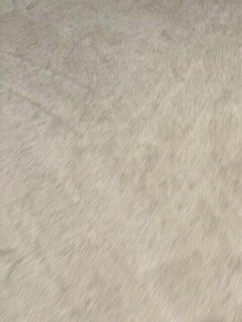 YesSir Services carpet stretching and cleaning customer project photo 32