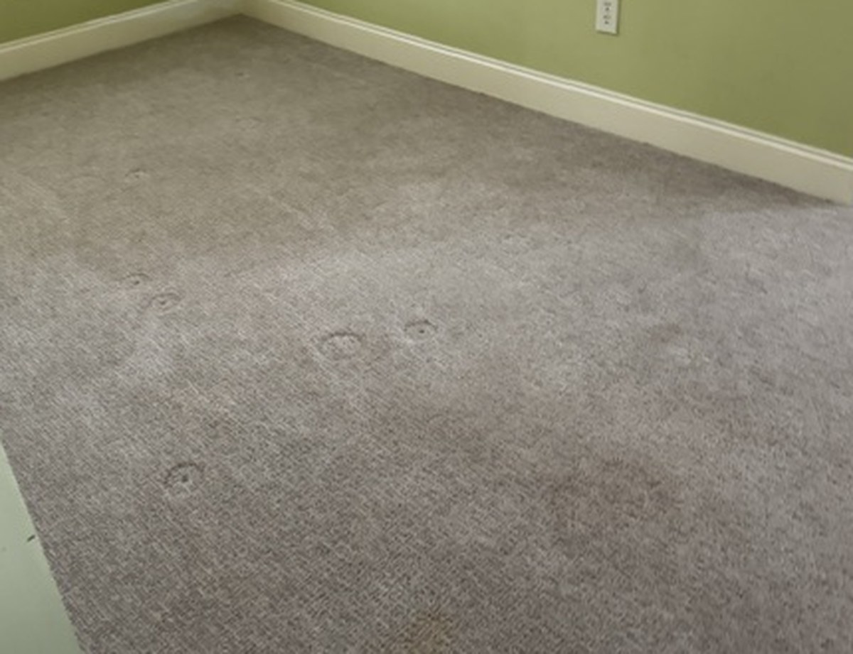 After carpet stretching showing finished wrinkle-free carpet