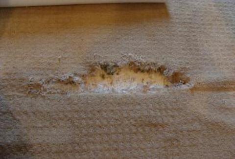 Before carpet repair