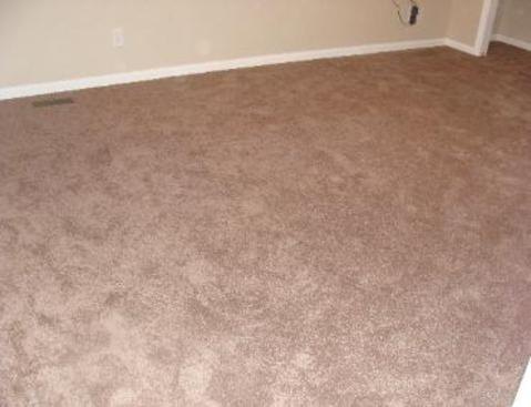 Carpet Installation After