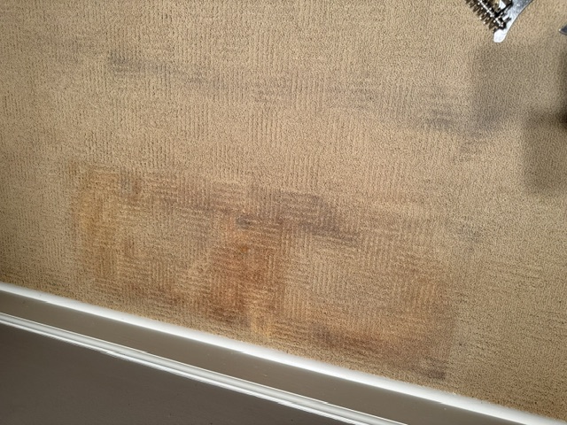 YesSir Services carpet stretching repair and cleaning project
