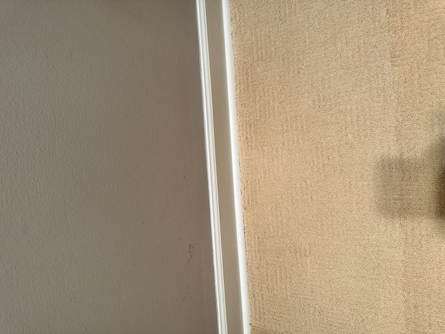 Carpet Repair Before & After - After