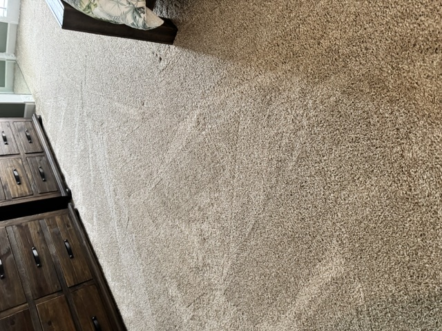 Carpet Cleaning Before & After - Project Progress