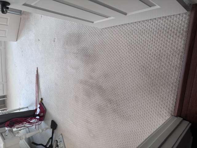 Before carpet stretching and cleaning