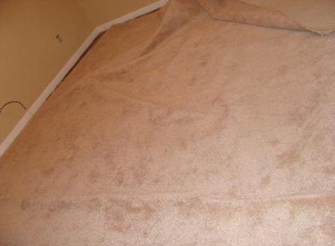 Before carpet repair